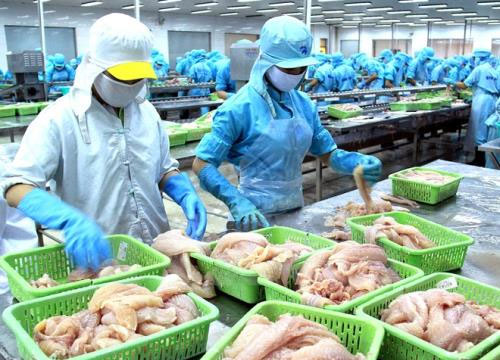 Ministry of Industry andTrade will connect businesses safe seafood consumption