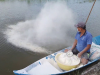 Phòng và xử lý phèn trong ao nuôi