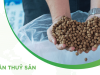 Chế độ dinh dưỡng cho thủy sản sau mưa lũ