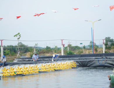 Chủ động bảo vệ thủy sản mùa nóng