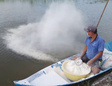 Phòng và xử lý phèn trong ao nuôi