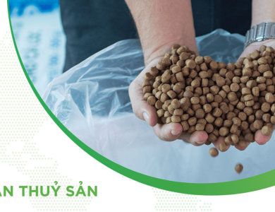Chế độ dinh dưỡng cho thủy sản sau mưa lũ