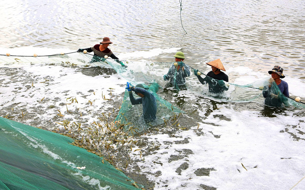 Đảm bảo an toàn thủy sản mùa mưa bão