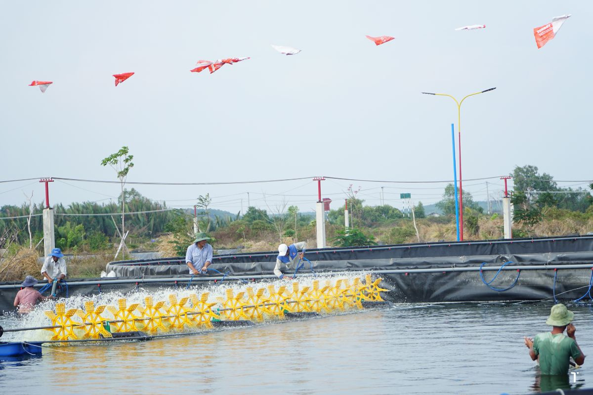 Chủ động bảo vệ thủy sản mùa nóng