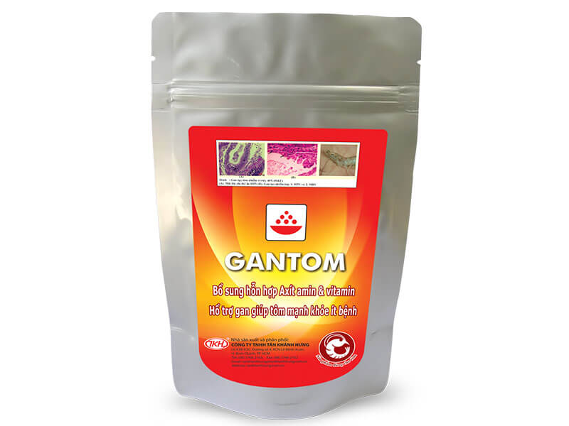 gantom